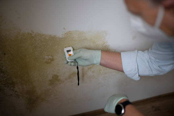 Water Damage Restoration in Crooks, SD