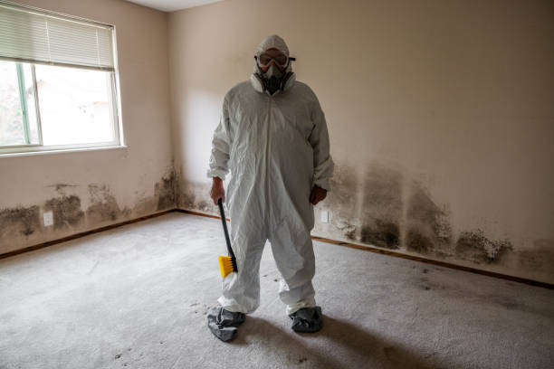 Professional Mold Removal in Crooks, SD